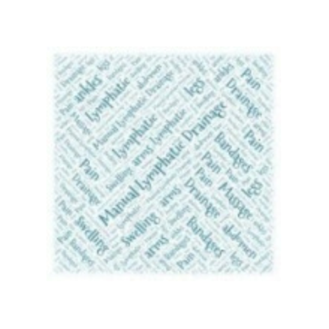 Shirleys Manual Lymphatic Drainage