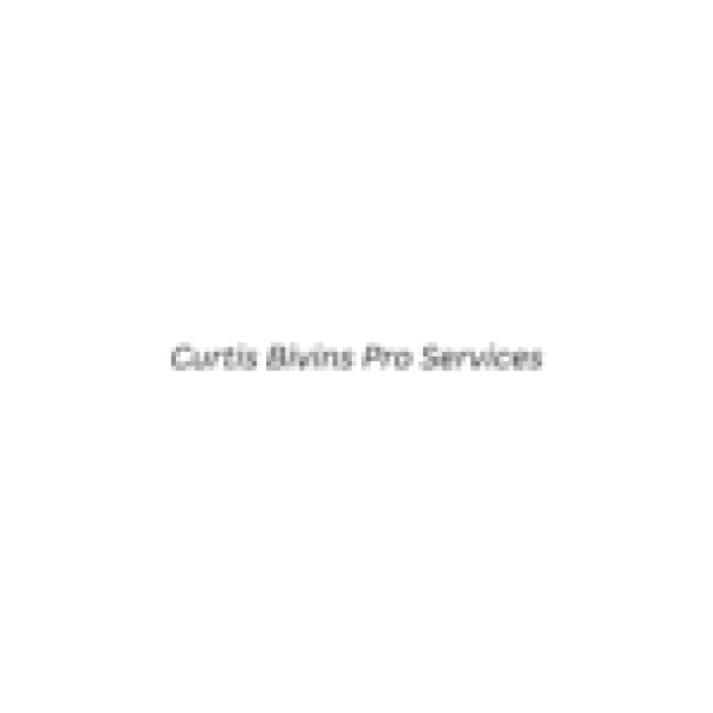 Curtis Bivins Pro Services LLC