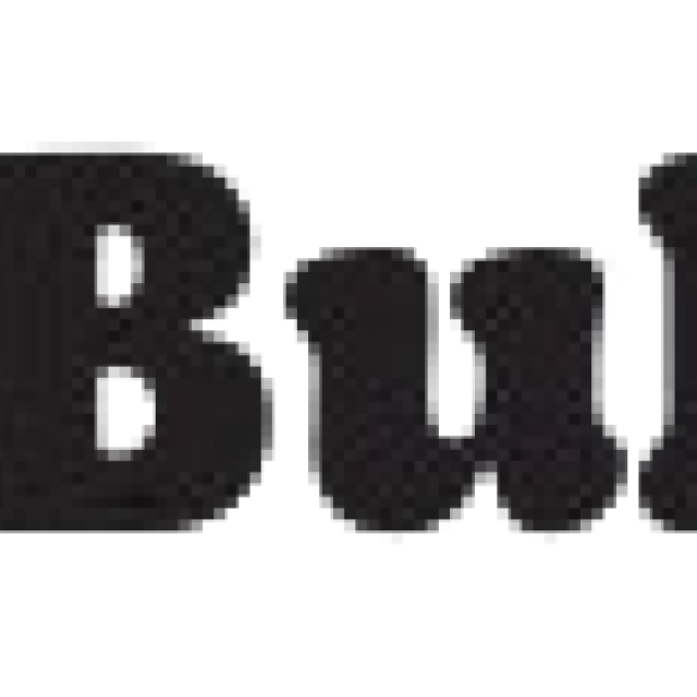 WhatsApp Bulk Messaging and Campaign Tool | Bulkly