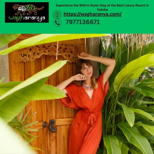 Experience the Wild in Style: Stay at the Best Luxury Resort in Tadoba