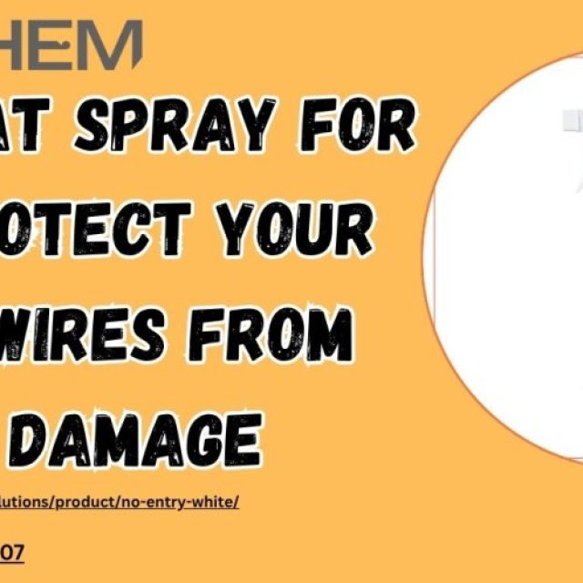 Best Rat Spray for Car: Protect Your Engine Wires from Rodent Damage