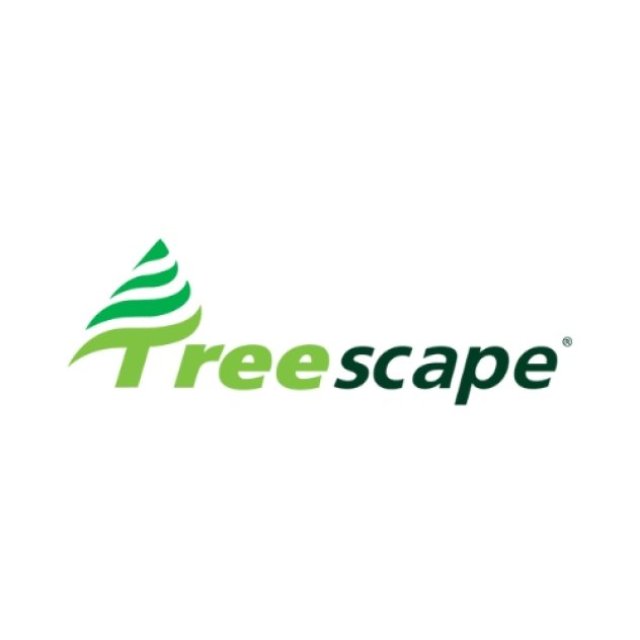 Tree Removal Brisbane
