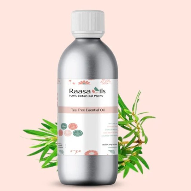 Raasa Oils 100% Pure Tea Tree Essential Oil: For Clear Skin, Fresh Air & Natural Protection