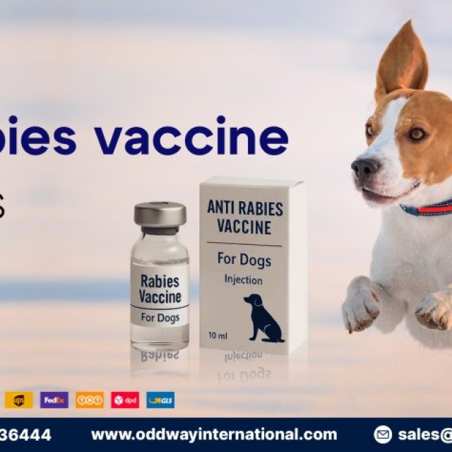 Secure Your Dog! Anti Rabies Vaccine by Oddway
