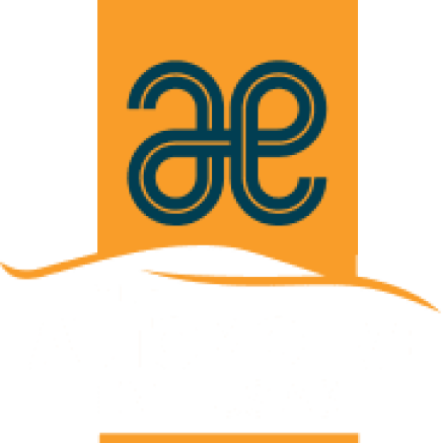The Automotive Enthusiast