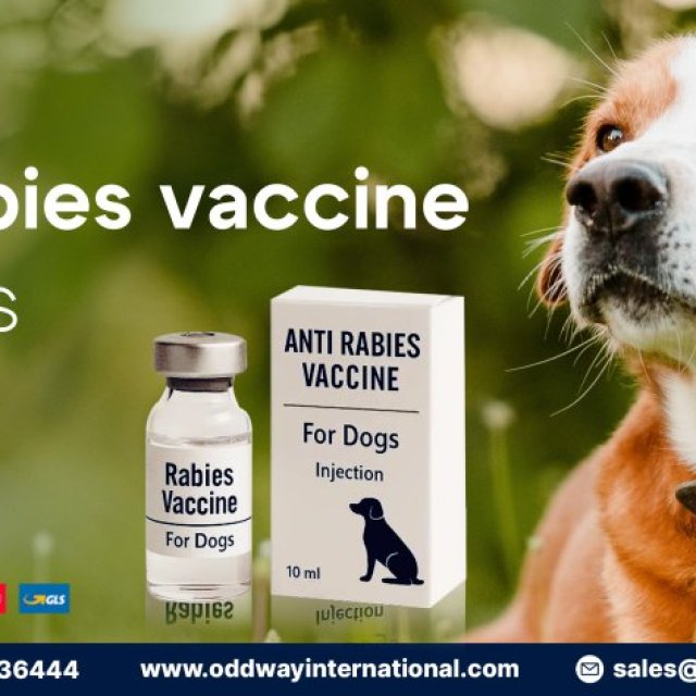 Buy Anti Rabies Vaccine for Dogs Wholesale B2B - Oddway