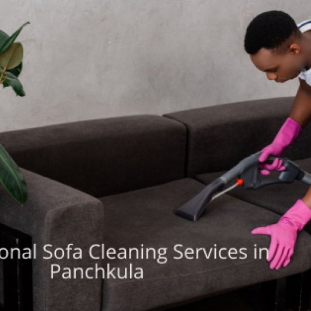 Professional Sofa Cleaning Services in Panchkula