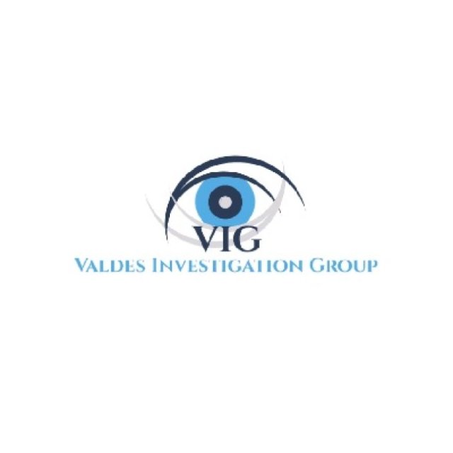 Valdes Investigation Group