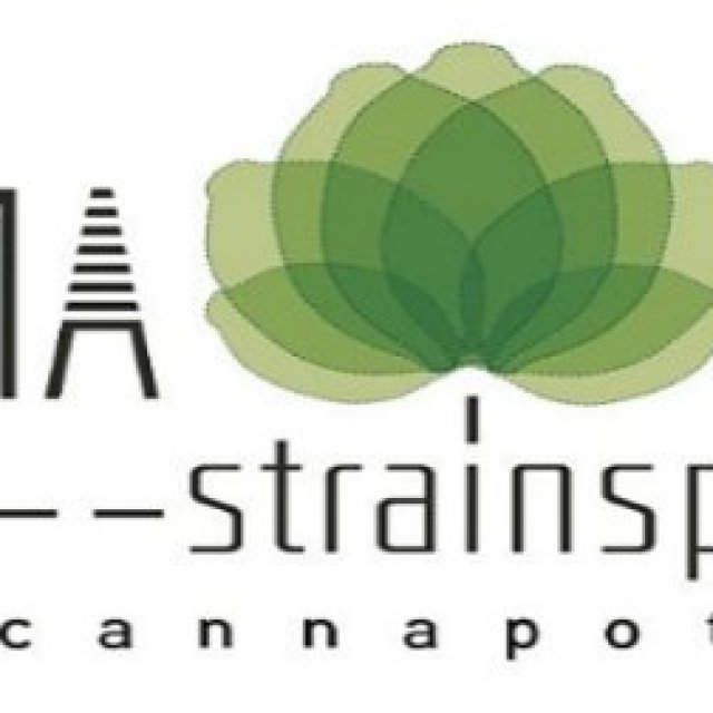 Cannapot zeigt khalifa seeds für deinen nächsten Anbau