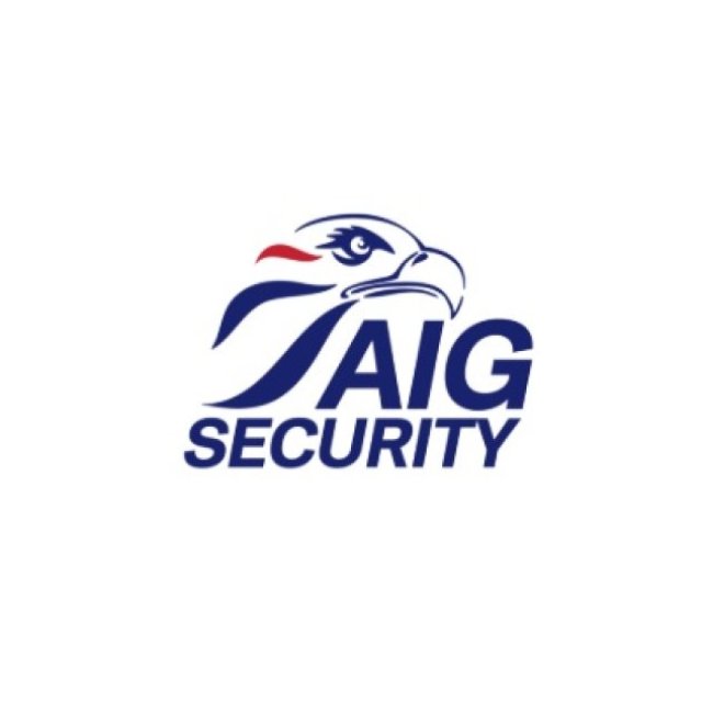 AIG Security