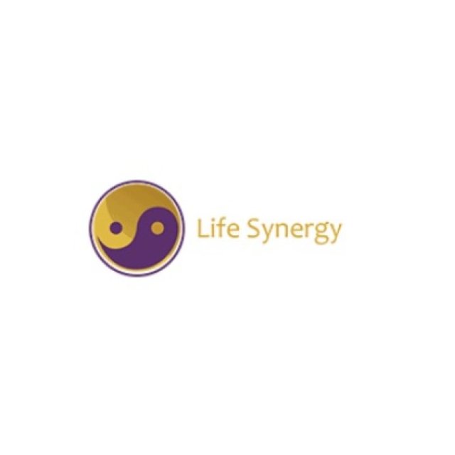 Life Synergy Retreat
