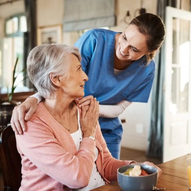 Homewatch Caregivers of Novi