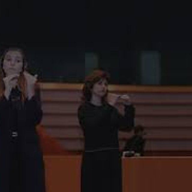 Simultaneous Interpreting In Switzerland