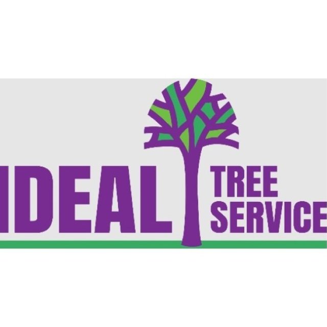 Ideal Tree Services