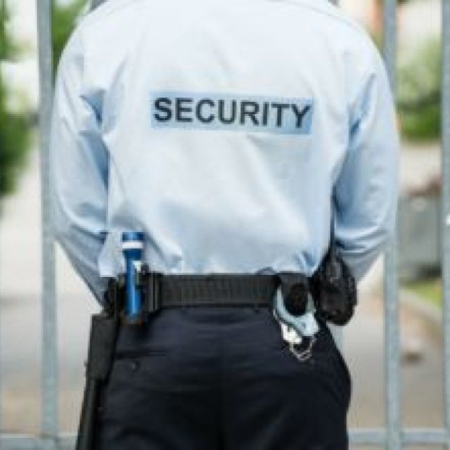 Advanced Professional Armed Security Guards