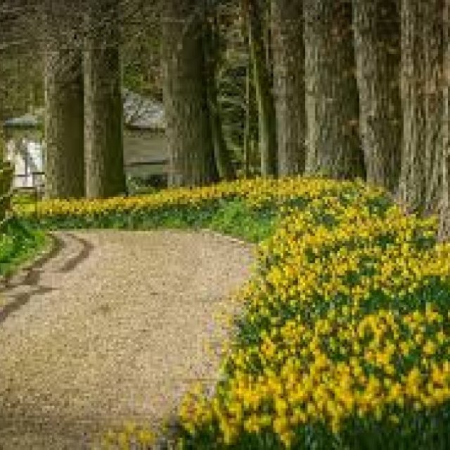 Garden Designers Essex