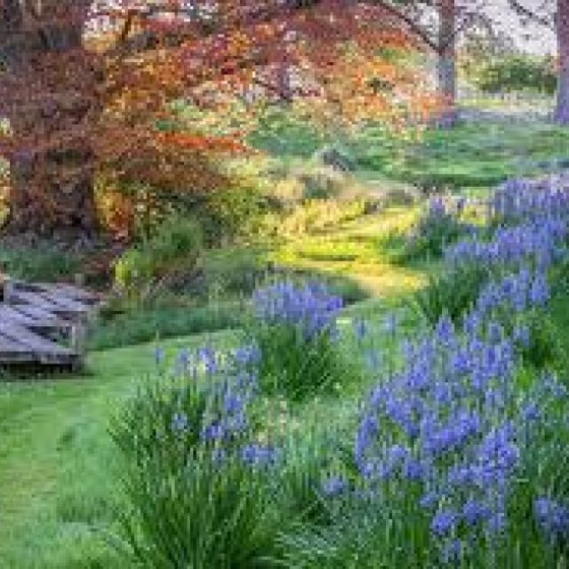 Garden Design Studio Essex