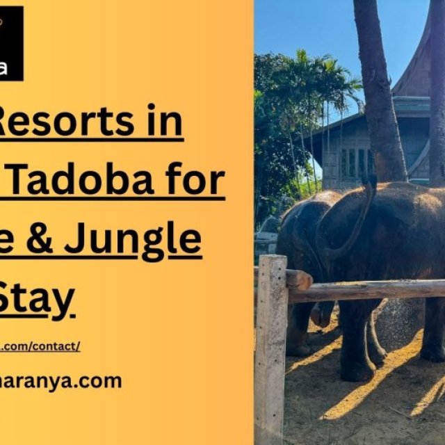 Best Resorts in Moharli Tadoba for Wildlife & Jungle Stay