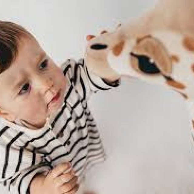 Family Photographer Stockport