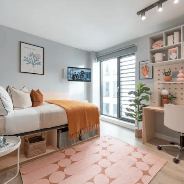 Alma Place Belfast Student Accommodation | Gradding Homes