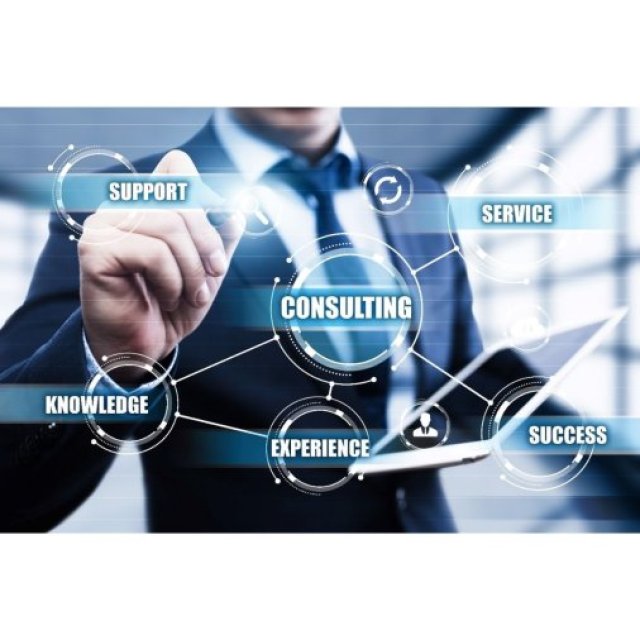 Why Startups Need Business Consulting Services for Faster Growth | Grace Aquino