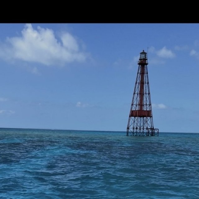 Starfish Snorkeling Tour FL