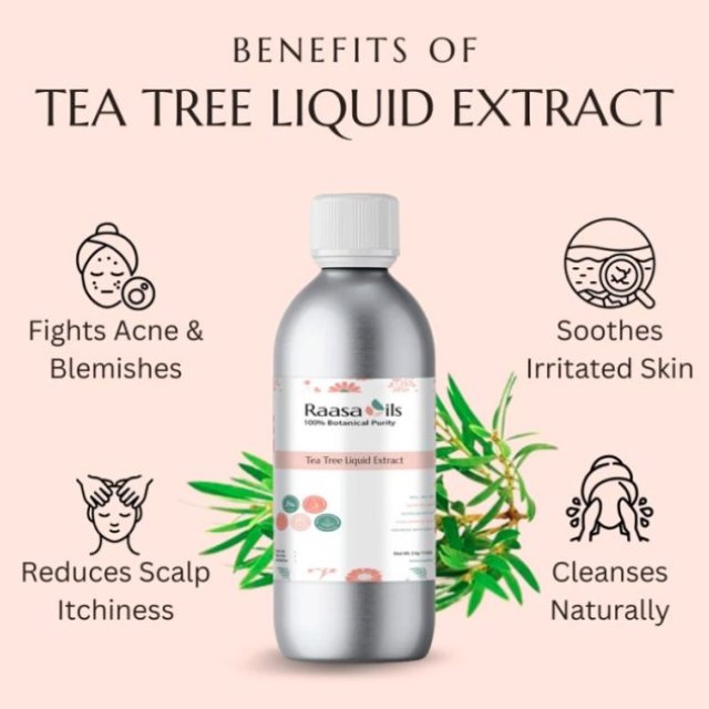 Tea Tree Liquid Extract for Cosmetic & Beauty Products | Raasa Oils