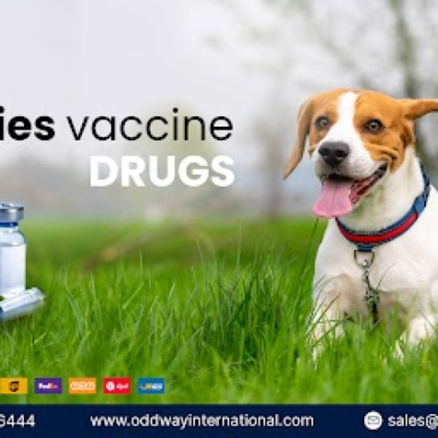 Stay Protected: Trusted Anti Rabies Vaccine Supply -  Odddway