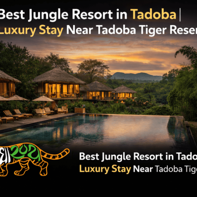 Best Jungle Resort in Tadoba | Luxury Stay Near Tadoba Tiger Reserve