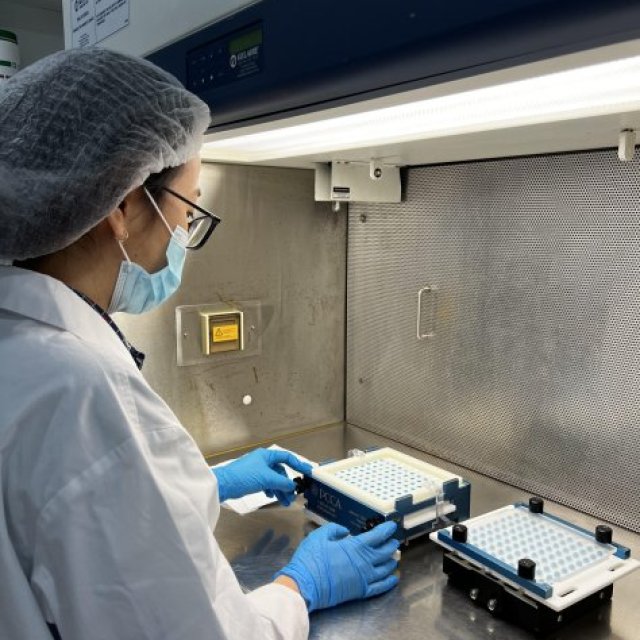 Compounding Chemist Adelaide