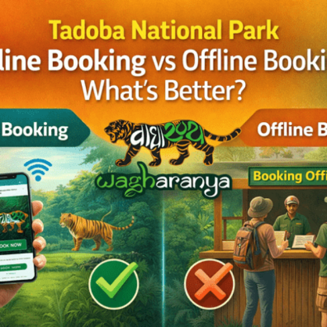 Tadoba National Park Online Booking vs Offline Booking: What’s Better?