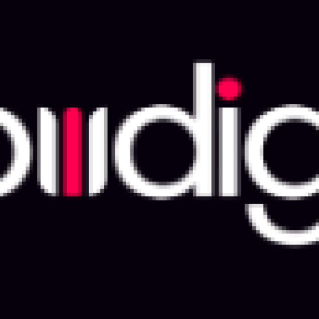 PW Digital Solutions