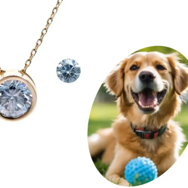 Pet ashes into diamonds