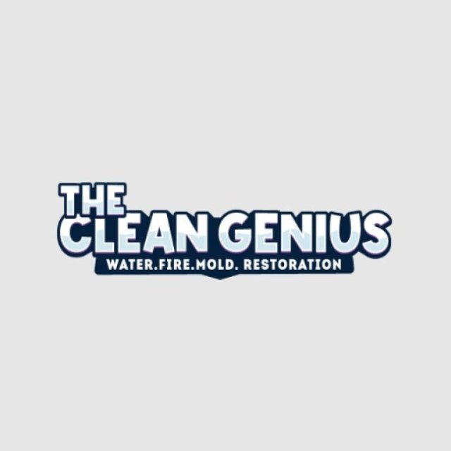 The Clean Genius
