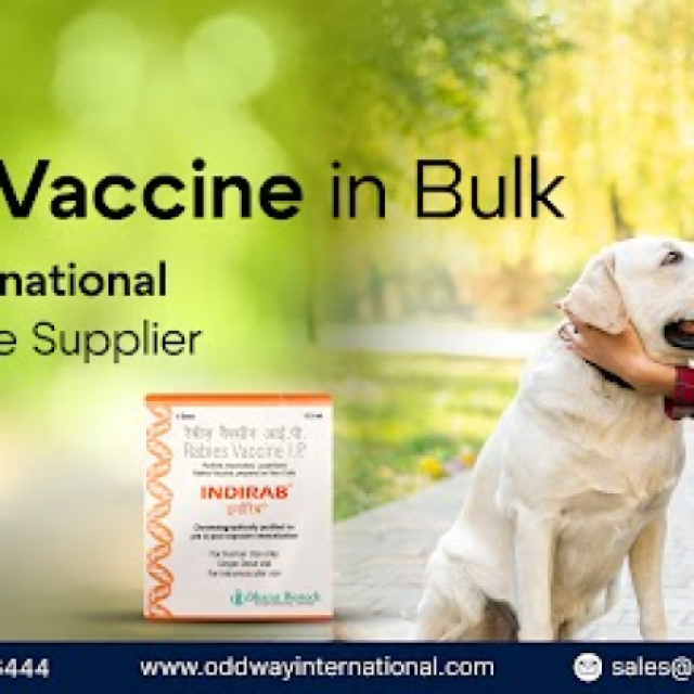 Indirab Vaccine Bulk Supply for Hospitals & Clinics - Oddway