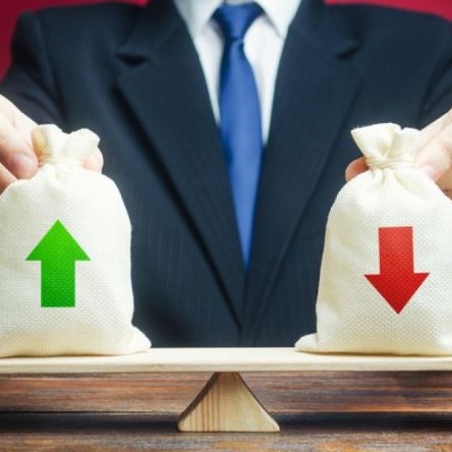 Why Investors Choose DSP Mutual Fund Schemes