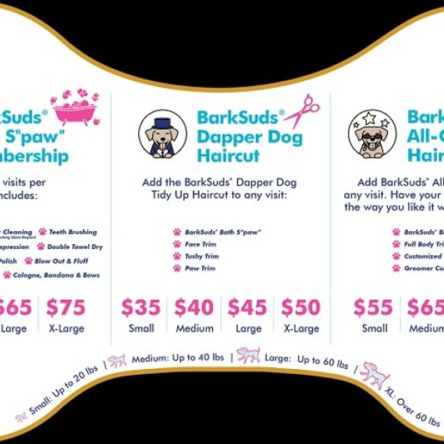 Premium Dog Grooming Deals in Winter Park Today