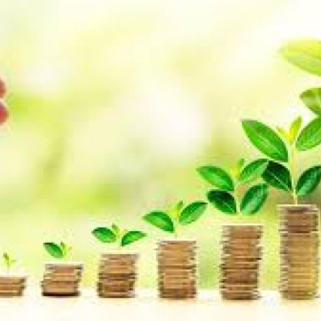 Stable Monthly Income Using 80 Lakh FD