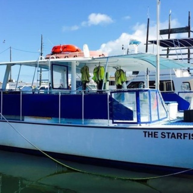 Starfish Snorkeling Marathon