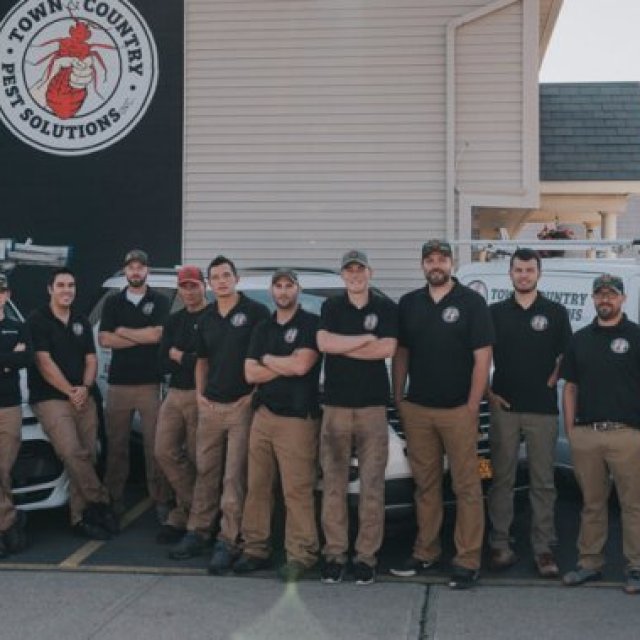 Town and Country Pest Solutions Inc
