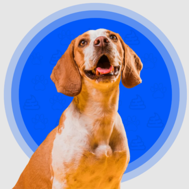 Dog waste removal for residential properties