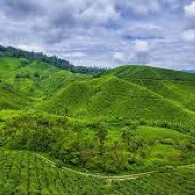 Cameroon eVisa for Christmas Island Citizens