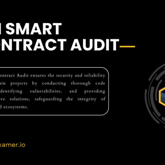 Sui Xamer- Ensuring Smart Contract Security