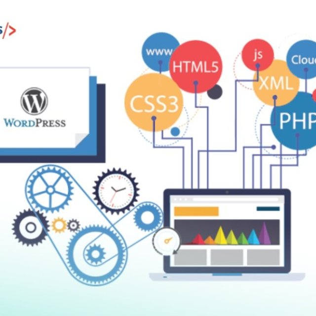 Why Is Custom WordPress Development Better For Your Business