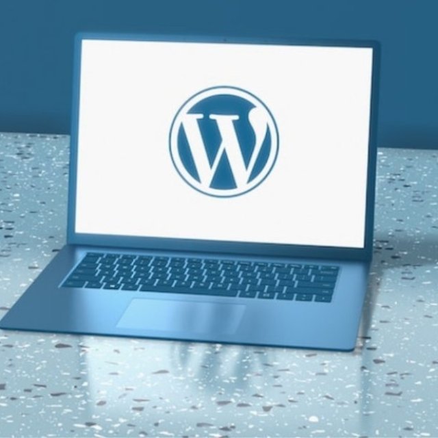 10 Mistakes Your Developer Should Avoid When Creating A WordPress Website!