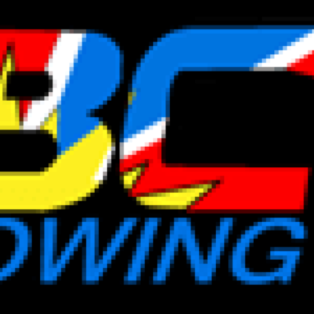 BC Towing Delta