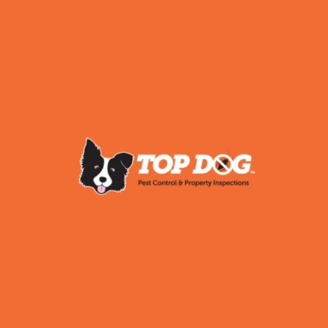 Commercial Pest Treatment Gold Coast | Topdogpestcontrol.com.au