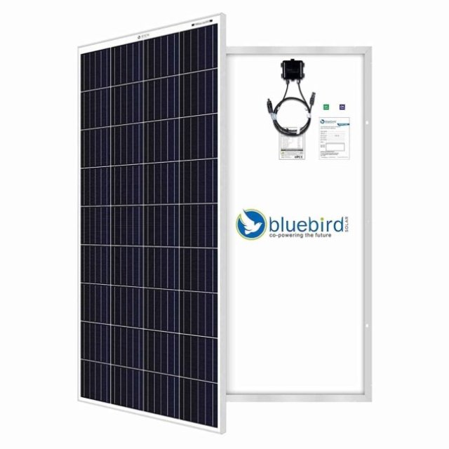 Efficient Solar for Home: Bluebird's 200 Watt Solar Panel Solution