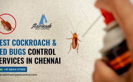 Pest Control Services in Chennai - Aavinashpestcontrol