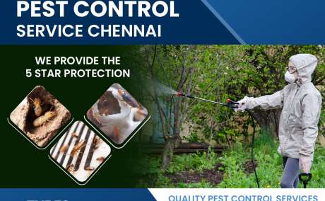 Residential & Commercial Pest Control Services in Chennai - Aavinashpestcontrol.com